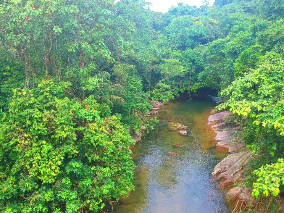 פאראטי Eco-Flats Cachoeira Azul מראה חיצוני תמונה